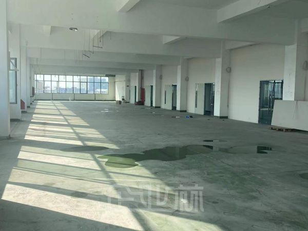 上海松江九亭厂房，仓库，展厅出租