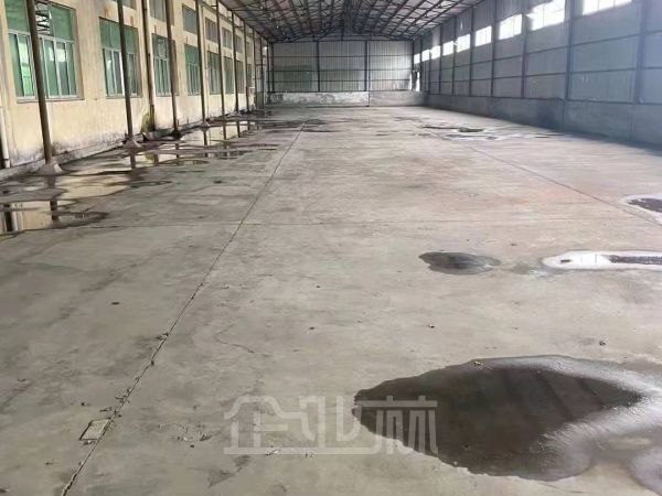 出租泖港镇单层厂房