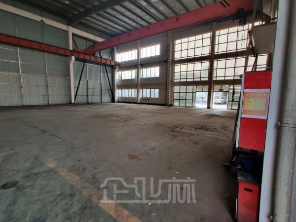 上海市金山枫泾镇单层104厂房出租,13米