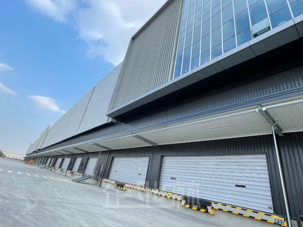上海金山枫泾全新厂房出租