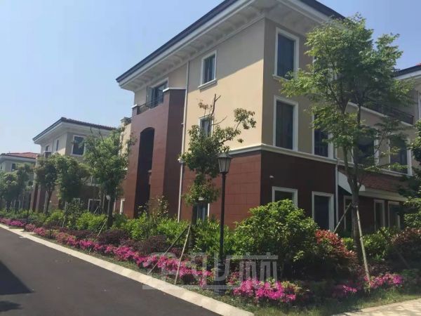 上海市奉贤区厂房出租