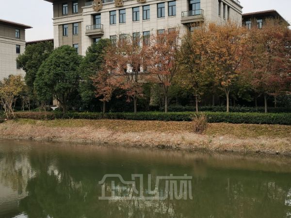 青浦独栋厂房出租