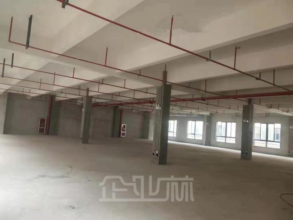 湖州南浔765平标准厂房出售