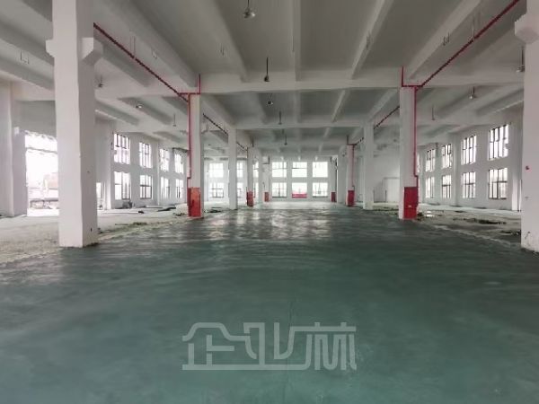 非中介 | 海门三厂 | 新建40000平标准工业厂房出租