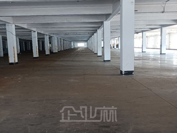 嘉定江桥2000平厂房 仓库 办公 展厅出租