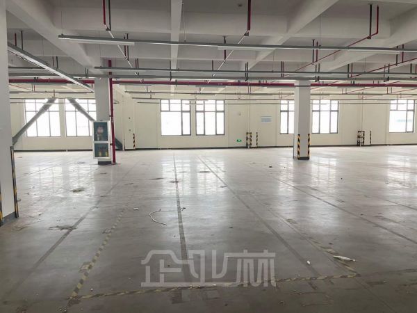 上海闵行2500平底楼厂房仓库办公展厅出租
