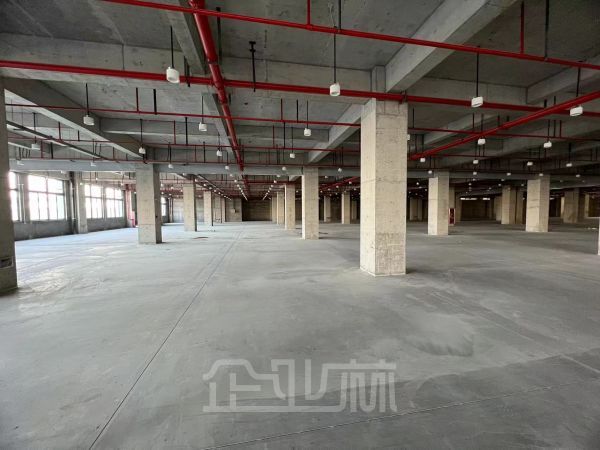 上海浦东2000平单层厂房仓库办公出租