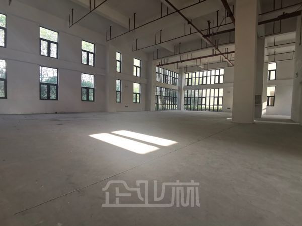 上海奉贤2000平全新标准厂房办公研发楼出售
