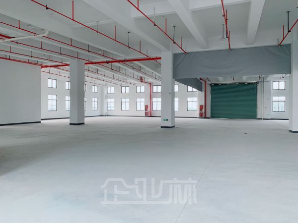 嘉兴平湖1500平全新标准厂房仓库出租