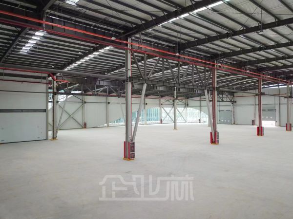 出租南通苏通大桥边9000平单层厂房