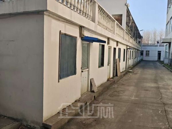 出租上海市松江区九亭镇盛龙路2930平厂房
