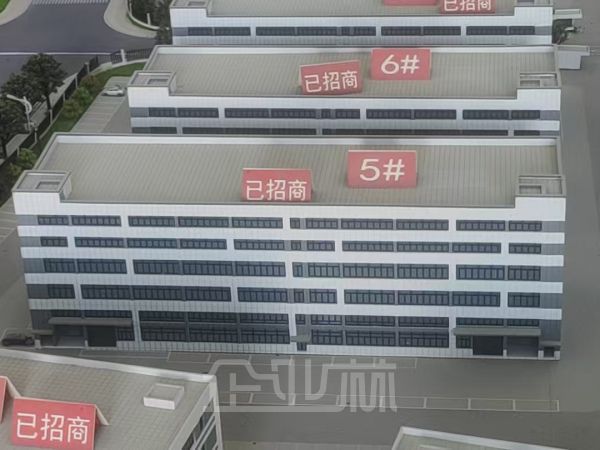只要2500一平就能买独栋厂房楼上
